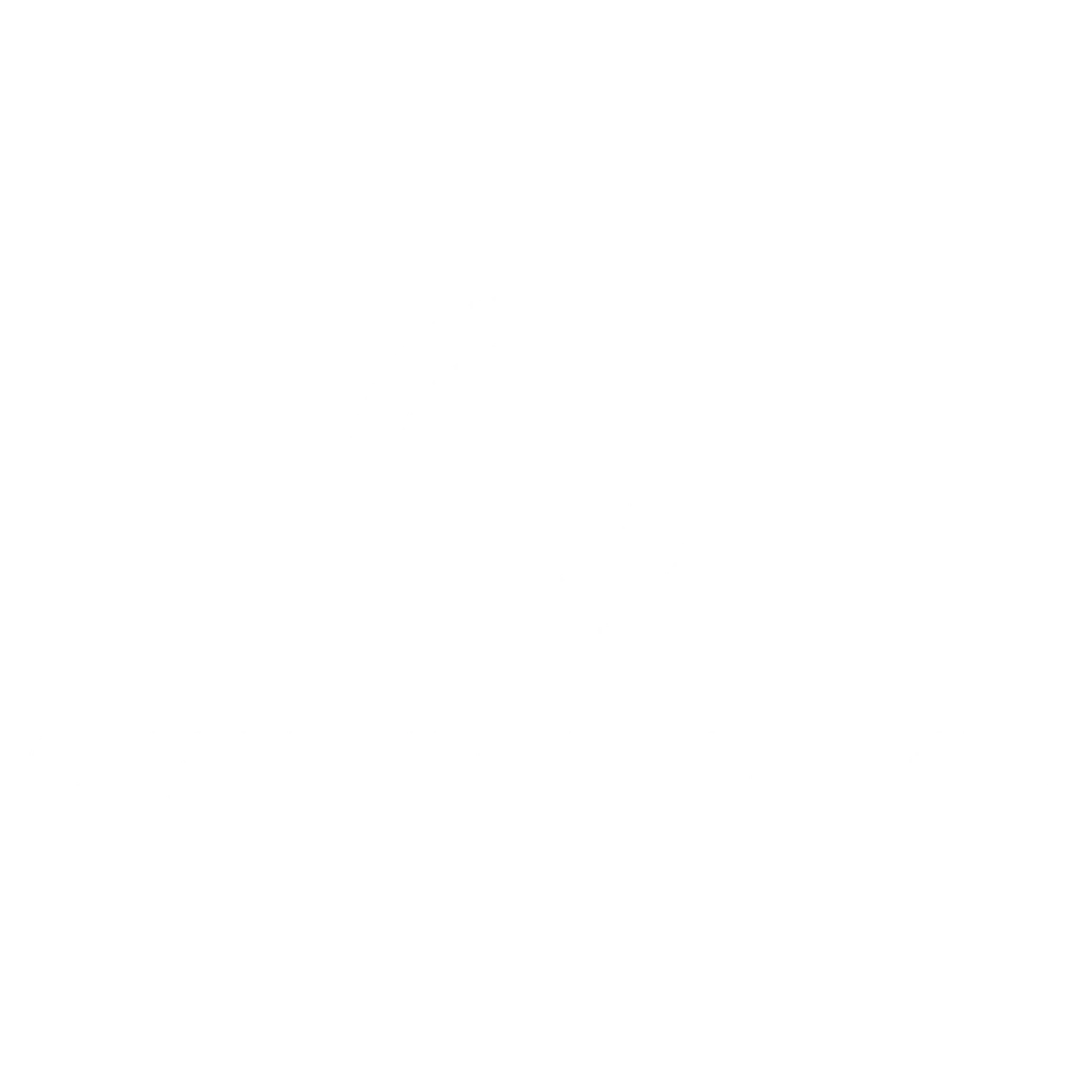 Quantum Industries