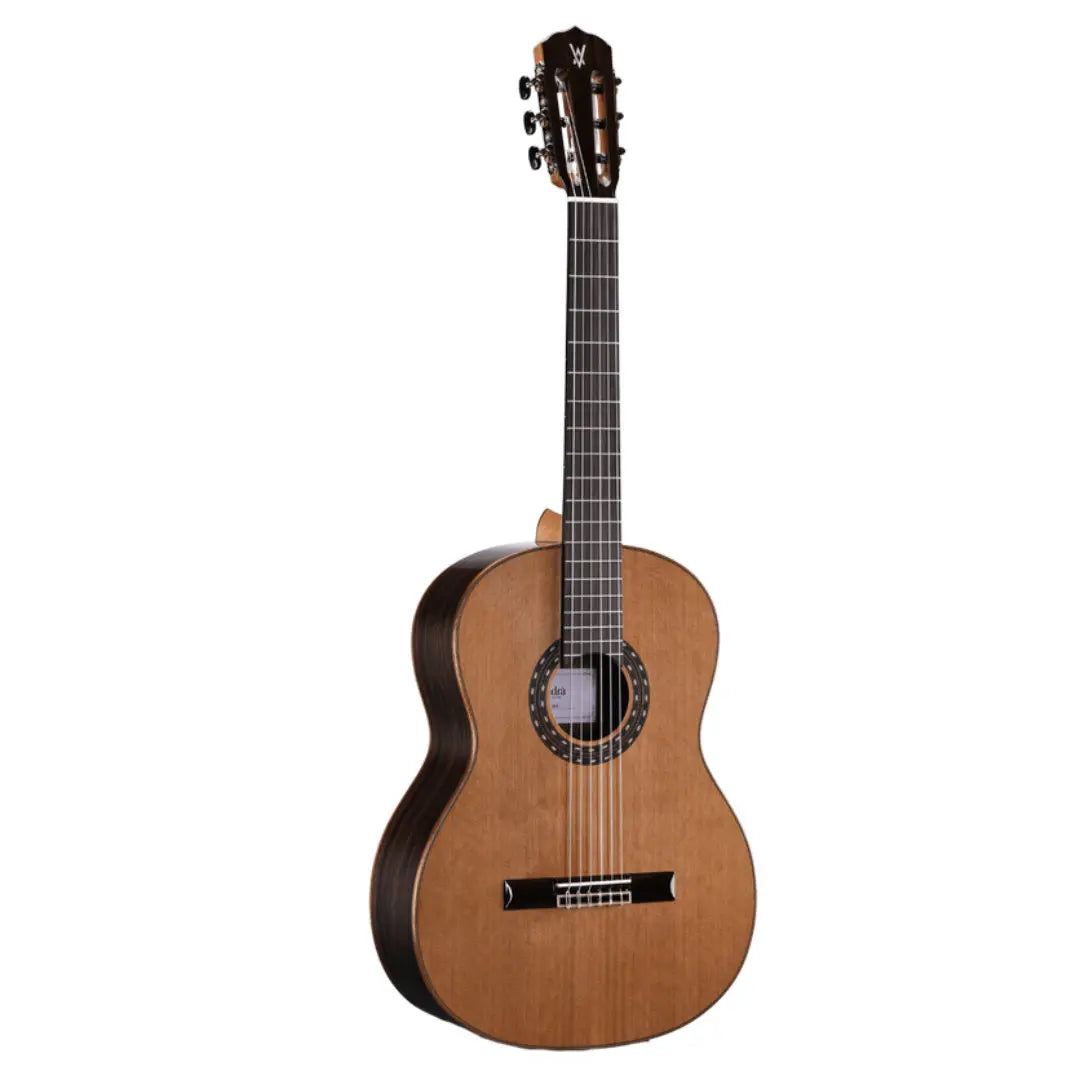 Model 5