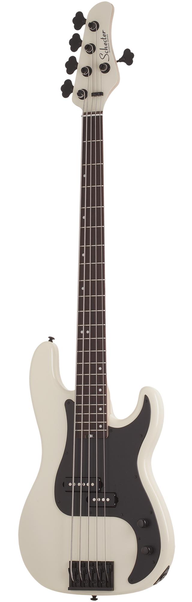 P-5   IVY