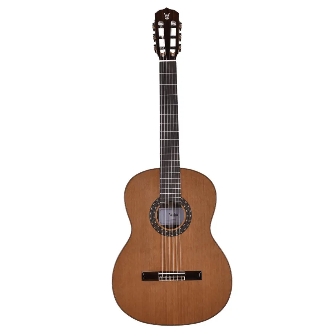 Model 5