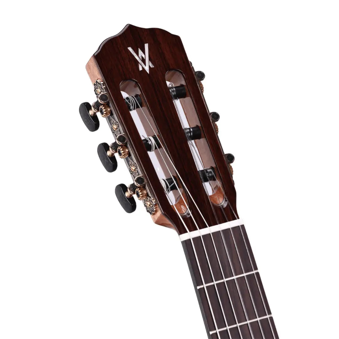 Model 5
