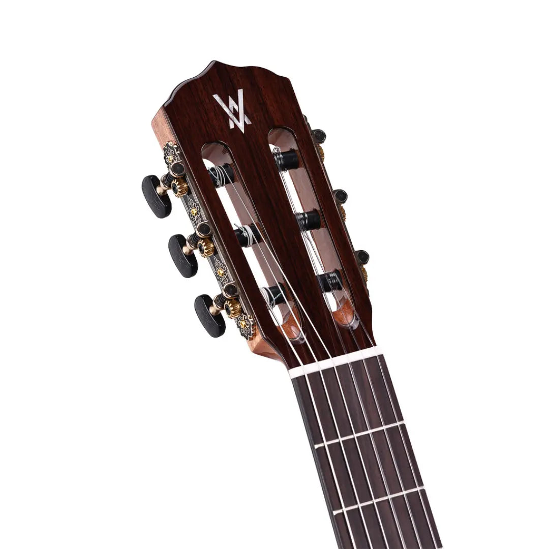Model 5 FC