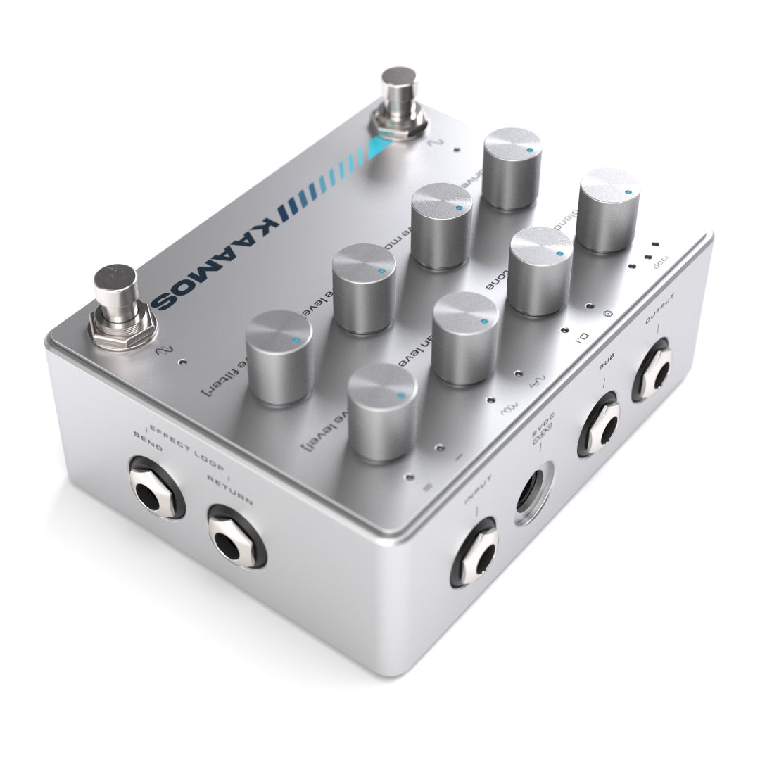 KAAMOS - Bass Octaver and Distortion